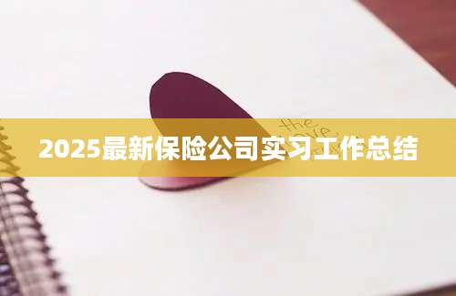 2025最新保险公司实习工作总结