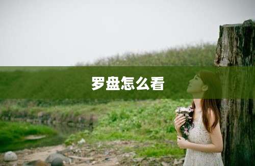 罗盘怎么看