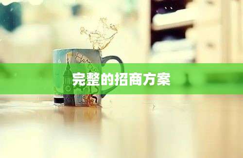 完整的招商方案
