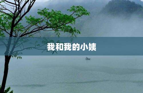 我和我的小姨