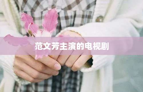 范文芳主演的电视剧