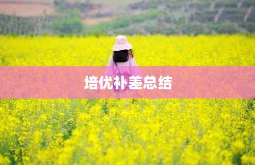 培优补差总结