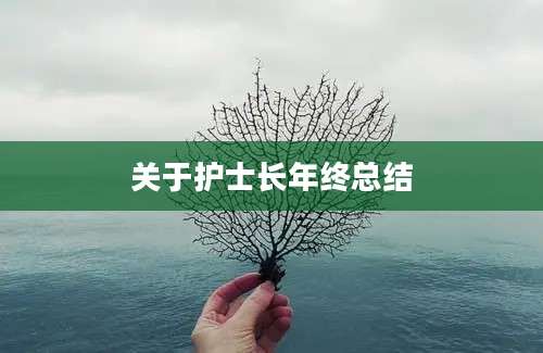 关于护士长年终总结