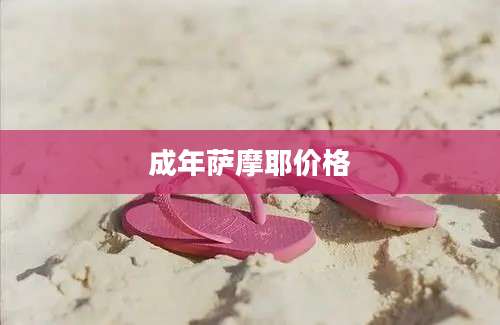 成年萨摩耶价格