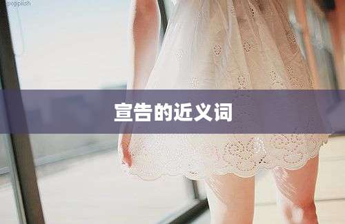 宣告的近义词