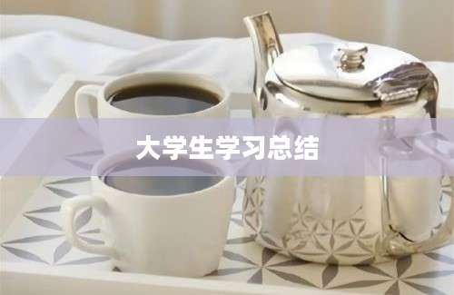 大学生学习总结