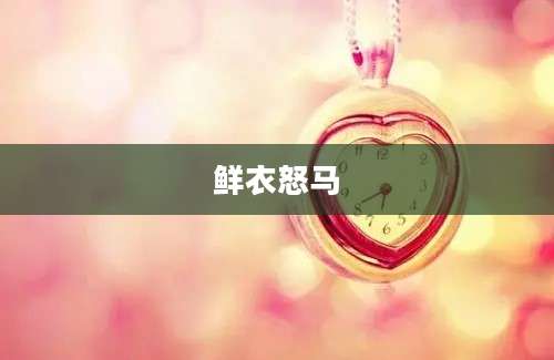 鲜衣怒马