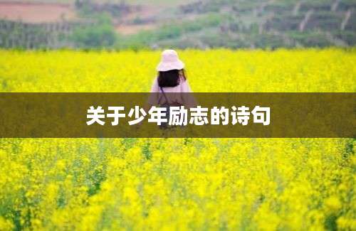 关于少年励志的诗句