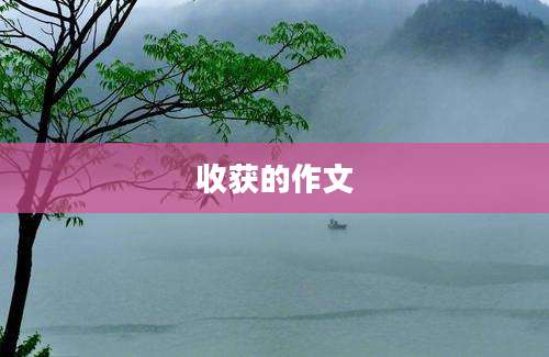 收获的作文