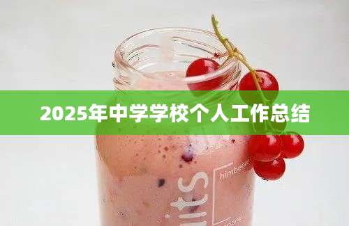 2025年中学学校个人工作总结