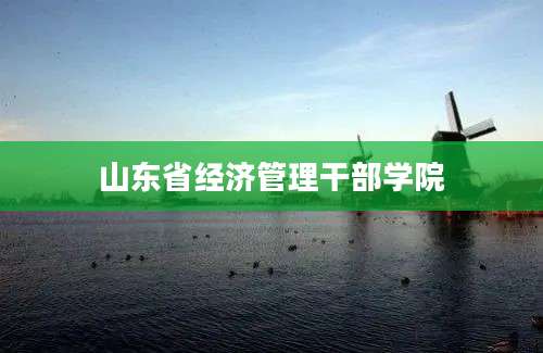 山东省经济管理干部学院