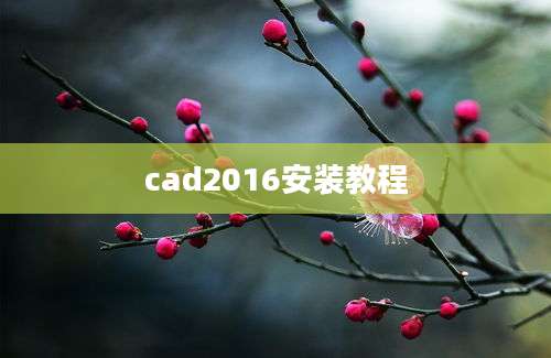 cad2016安装教程