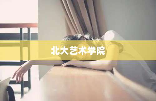 北大艺术学院