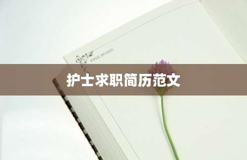 护士求职简历范文