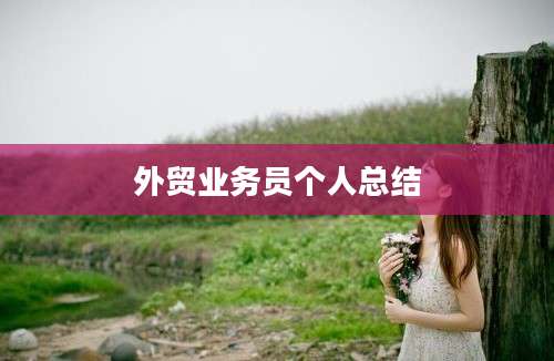 外贸业务员个人总结
