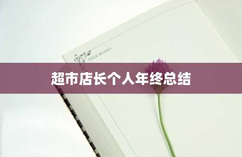 超市店长个人年终总结