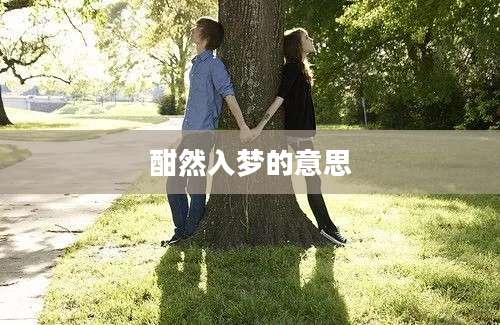 酣然入梦的意思
