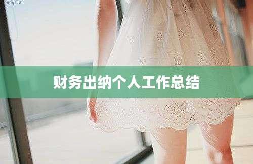 财务出纳个人工作总结