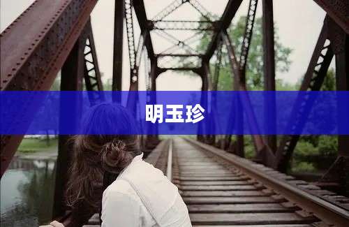 明玉珍