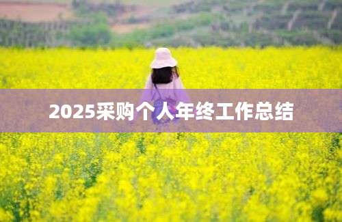 2025采购个人年终工作总结