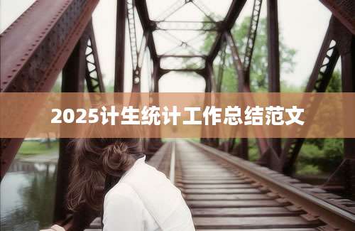 2025计生统计工作总结范文