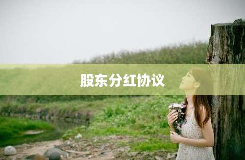 股东分红协议