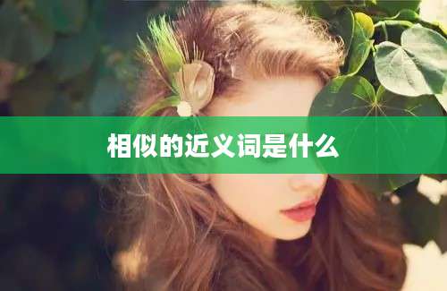 相似的近义词是什么