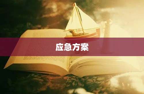 应急方案