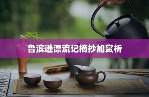 鲁滨逊漂流记摘抄加赏析