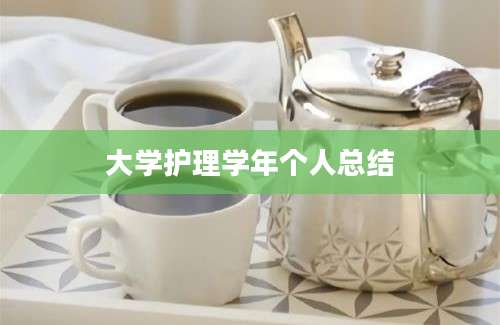 大学护理学年个人总结