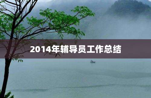 2014年辅导员工作总结