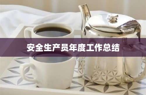 安全生产员年度工作总结
