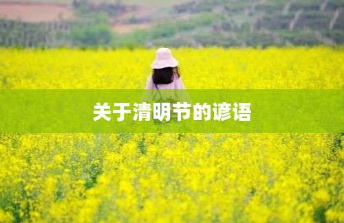 关于清明节的谚语