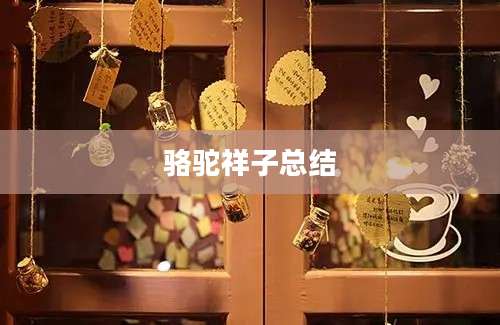 骆驼祥子总结