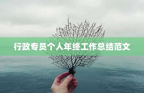 行政专员个人年终工作总结范文