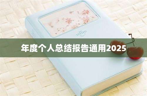 年度个人总结报告通用2025