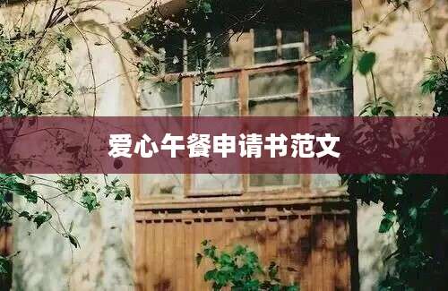 爱心午餐申请书范文