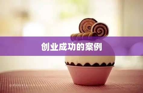 创业成功的案例