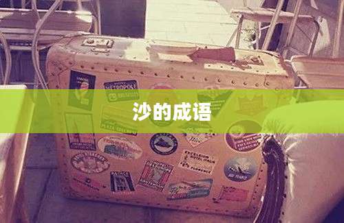 沙的成语