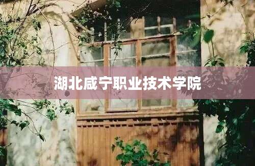 湖北咸宁职业技术学院