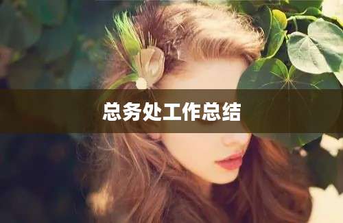 总务处工作总结