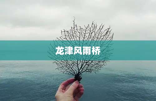 龙津风雨桥
