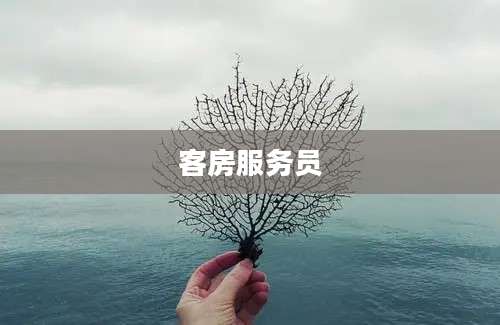 客房服务员