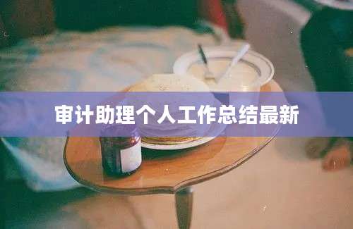 审计助理个人工作总结最新