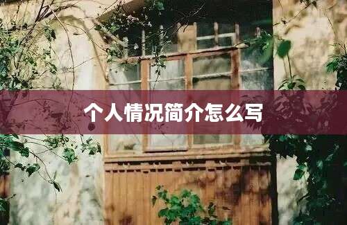 个人情况简介怎么写