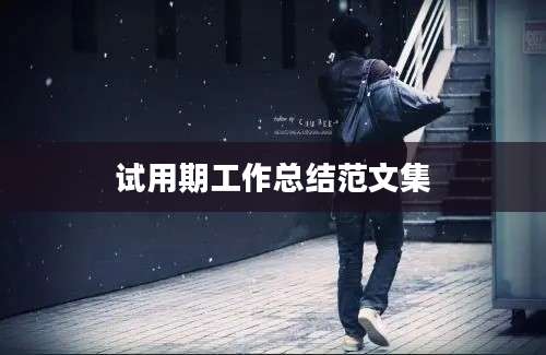 试用期工作总结范文集