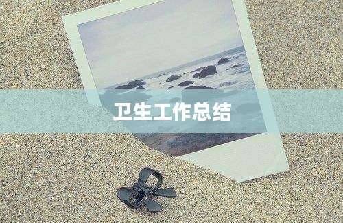 卫生工作总结