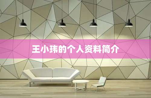 王小玮的个人资料简介