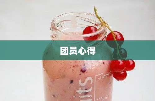 团员心得