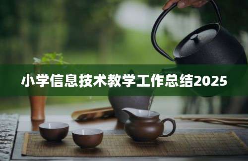 小学信息技术教学工作总结2025